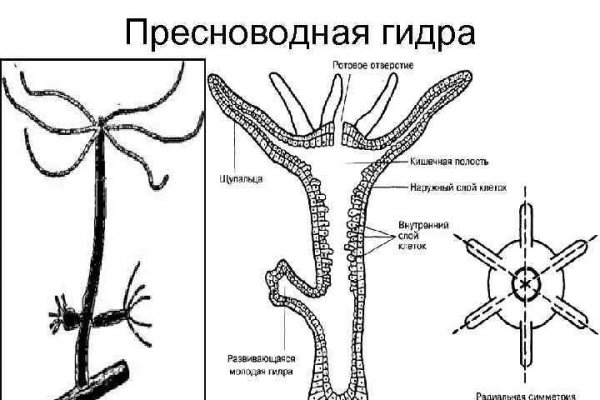 Bs gl вход blacksprut cam bs2web top