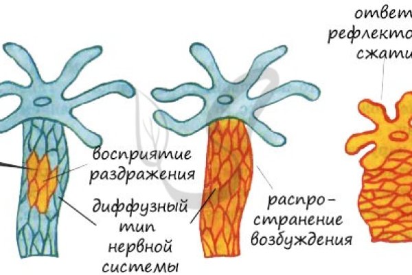 Блэкспрут onion ссылка 1blacksprut me