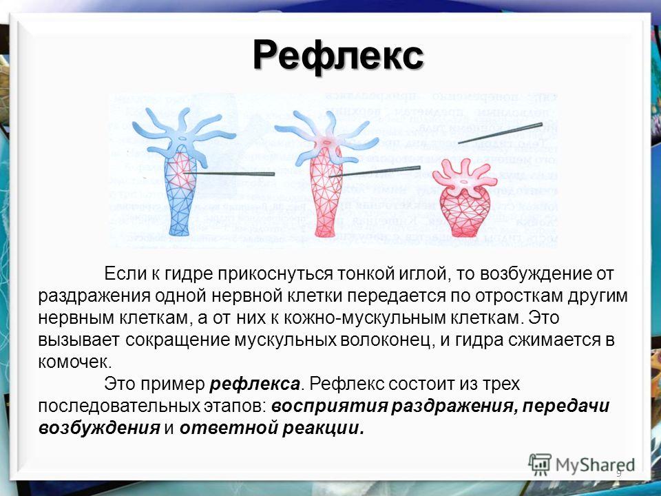 Блэкспрут 2fa код